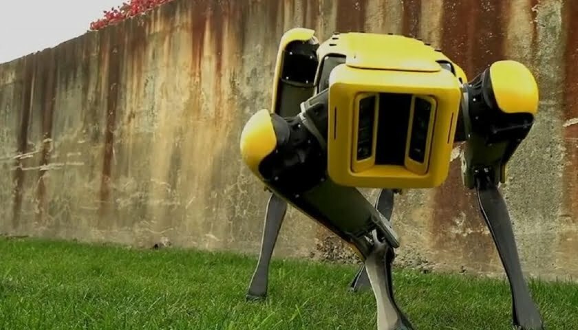 Spot Boston Dynamics